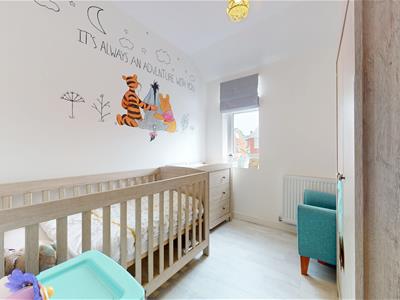 Picture 24